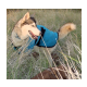 Cool Coats ideal for all breeds