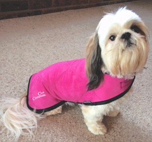 Pet Cool Coat size 38cm