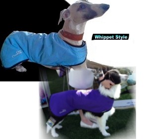 Cool Coat Whippet Style