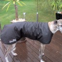Greyhound Style Oilskin Dog Jacket