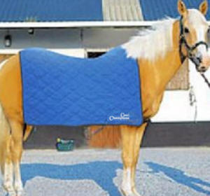 Cooling Evaporative Blanket for Horses