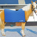 Cooling Horse Sheet