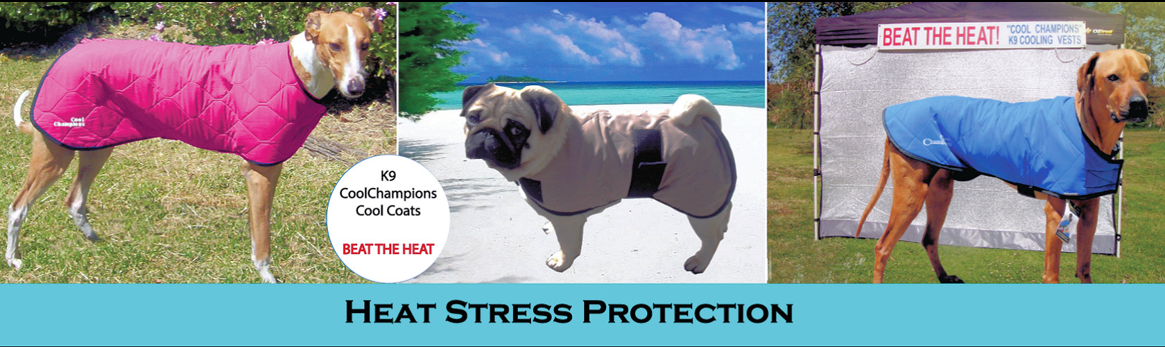 K9 CoolChampions Cooling Pet Products