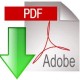 download pdf file